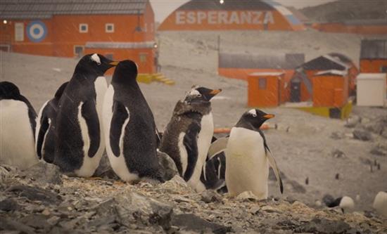 Only Distrib Secures International Deals for Did You Know and Factual Slate Across Europe and Canada